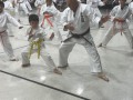 IMG_8383
